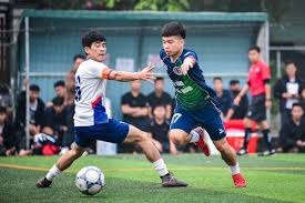 中超控股子公司成功中标16.45亿元重大项目